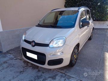 Fiat Panda 1.2 EasyPower Easy (Finanziabile)