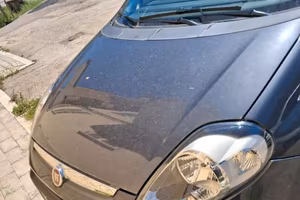 punto evo