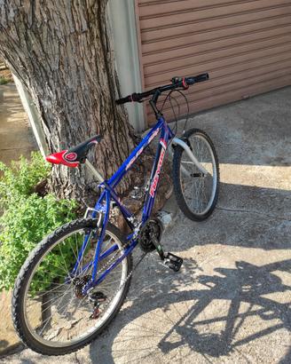 Mountain bike 24 seminuova 