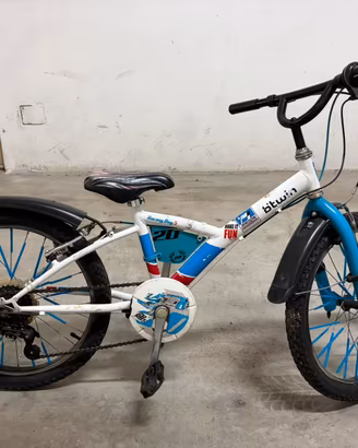 Bici 20 pollici bambino