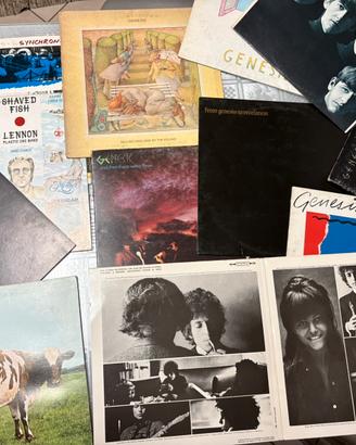 dischi in vinile 💿