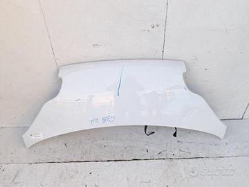 A4517510102CA8L COFANO ANTERIORE SMART FORTWO (451