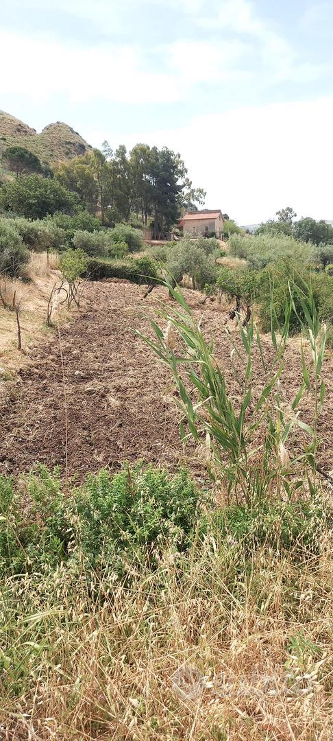Terreno in contrada Sorgiva a Scillato - Vista 3
