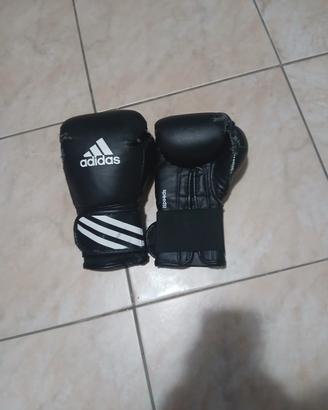Guantoni da Boxe 