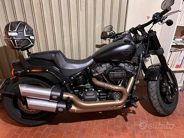 Fat bob 2019