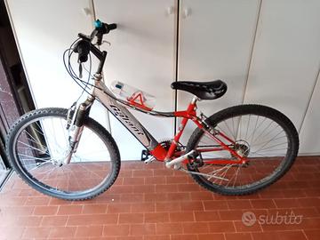 MOUNTAIN BIKE