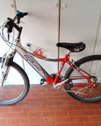 MOUNTAIN BIKE