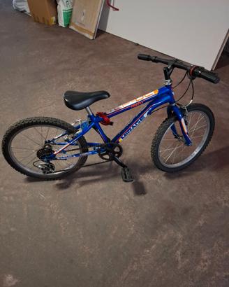 Bicicletta Mountain Bike Bambino