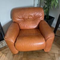 Poltrona pelle Busnelli originale