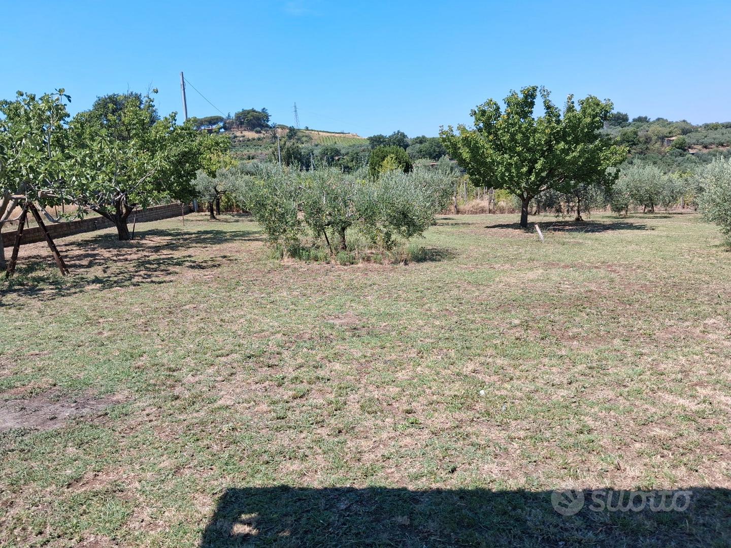 Terreno agricolo - Vista 2