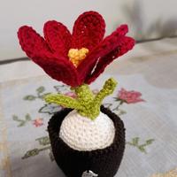 Vasetto crocus fatto a mano