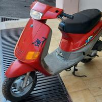 Zip marciante 100% libretto piccolo consegnamo noi