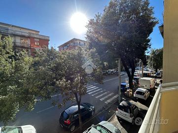 5 LOCALI A CARRARA