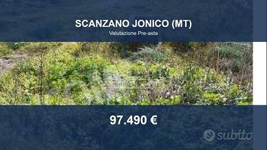 Immobile in asta di 79225 m² a Scanzano Jonico
