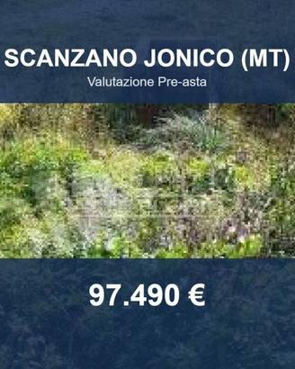 Immobile in asta di 79225 m² a Scanzano Jonico