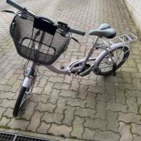 Bicicletta elettrica