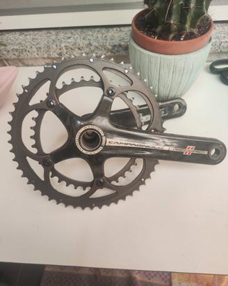 guarnitura record campagnolo
