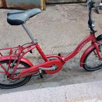 Bici elettrica