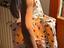 Immagine 1