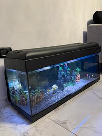 Acquario 100L Perfetto