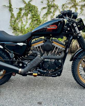 XL Sportster Special