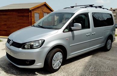 Auto per Trasporto Disabili 