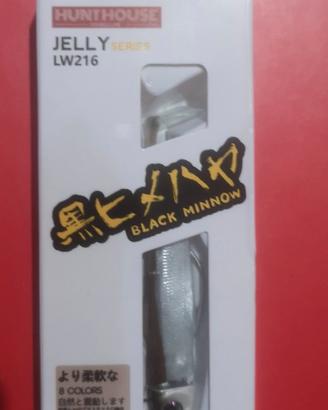 Black minnow
