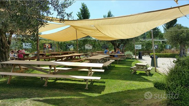 Terreno uso Aria privata per pik Nik e giochi cani