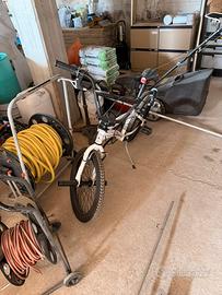 Bici BMX
