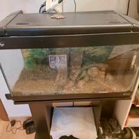 acquario mis. 75,5 x  48. + mobiletto