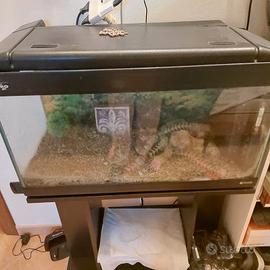 acquario mis. 75,5 x  48. + mobiletto
