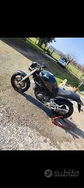 Ducati monster