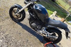 Ducati monster