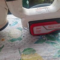 motosega +tagliasiepe  l