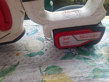 motosega +tagliasiepe  l