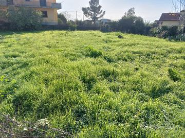 Terreno agricolo 1000 mq circa s.m. la stella