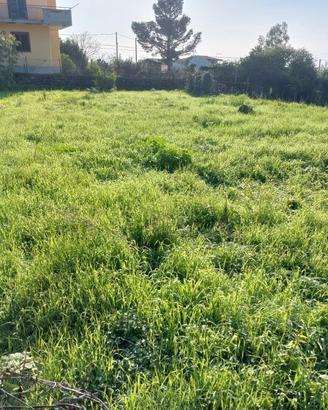 Terreno agricolo 1000 mq circa s.m. la stella