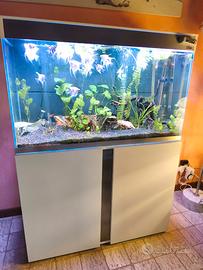 Acquario Ciano Askol