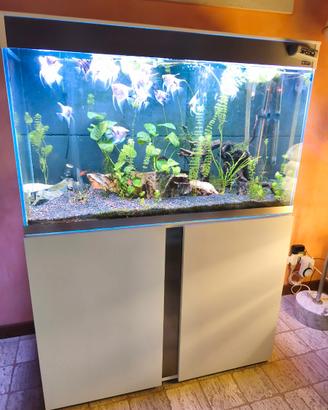 Acquario Ciano Askol