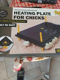 chioccia artificiale per 50-55 pulcini