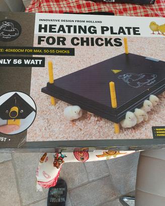 chioccia artificiale per 50-55 pulcini