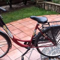 bicicletta donna
