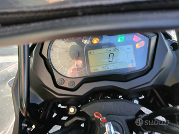 Benelli TRK 502 stradale