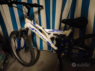 Bicicletta