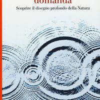 Una domanda / libro di  Frank Wilczek