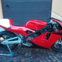 Ducati bott ex rodorigo ascanio 1998