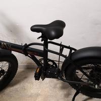 bicicletta elettrica