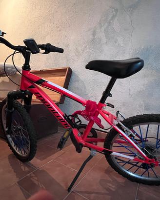 Bicicletta