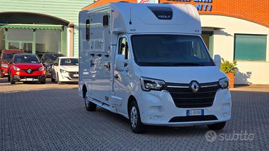 Renault master van trasporto cavalli