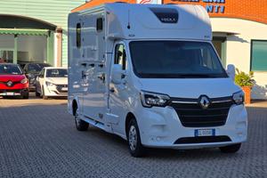 Renault master van trasporto cavalli